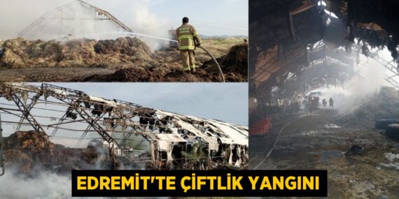 EDREMİT’TE ÇİFTLİK YANGINI