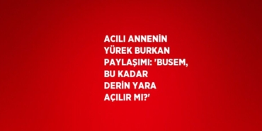 30501316102256522833