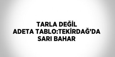 30503296592916225772tasarimli