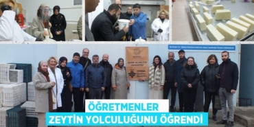 30505317702751831438tasarimli