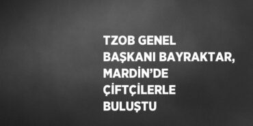 30507216042091323102