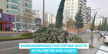 30509317612105022812tasarimli