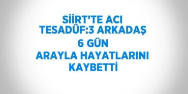 30511263333079631134tasarimli