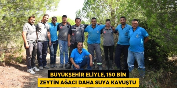 BÜYÜKŞEHİR ELİYLE, 150 BİN ZEYTİN AĞACI DAHA SUYA KAVUŞTU