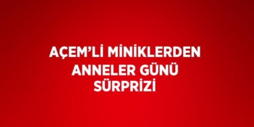 30522202562571223764tasarimli