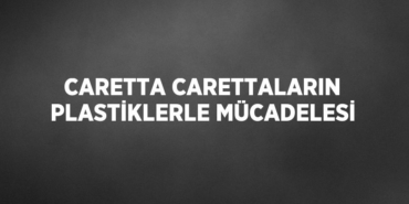 30525318493086221231tasarimli
