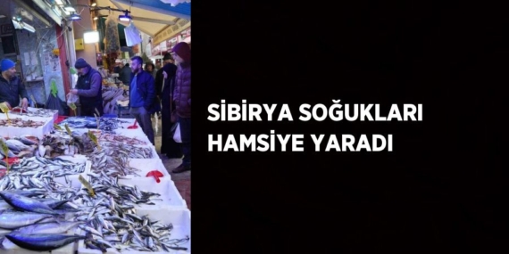 SİBİRYA SOĞUKLARI HAMSİYE YARADI
