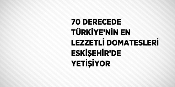 70 DERECEDE TÜRKİYE’NİN EN LEZZETLİ DOMATESLERİ ESKİŞEHİR’DE YETİŞİYOR