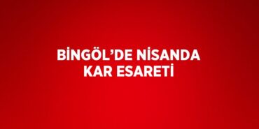 30540314842318928641tasarimli