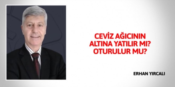 CEVİZ AĞICININ ALTINA YATILIR MI? OTURULUR MU?