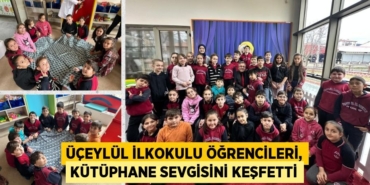 30548209262099129291tasarimli