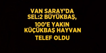 30561206582865228670tasarimli