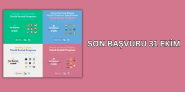 30566244782397923688