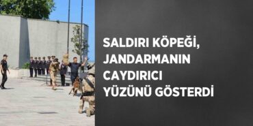 30567272542888320514