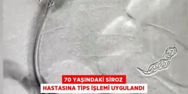 30568293592308723184tasarimli