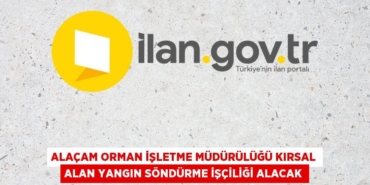 30586213933194727751tasarimli