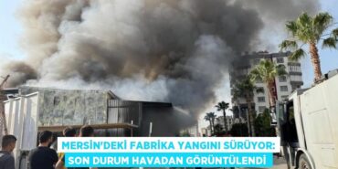 30593214782128428942tasarimli