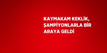 30602311602337528115