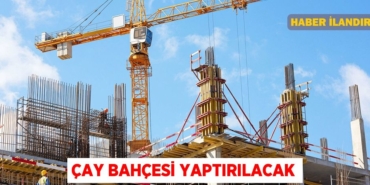 30603244202527522557