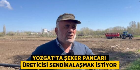 YOZGAT’TA ŞEKER PANCARI ÜRETİCİSİ SENDİKALAŞMAK İSTİYOR