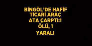 30617262672432821081tasarimli