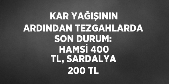 KAR YAĞIŞININ ARDINDAN TEZGAHLARDA SON DURUM: HAMSİ 400 TL, SARDALYA 200 TL