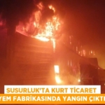 30656258672426520472tasarimli