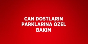 30657245872065929529tasarimli