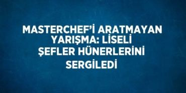 30667254422821731142tasarimli
