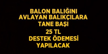 30667304932577820772tasarimli