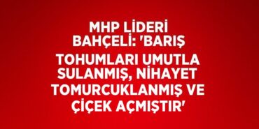 30669314713142831956tasarimli