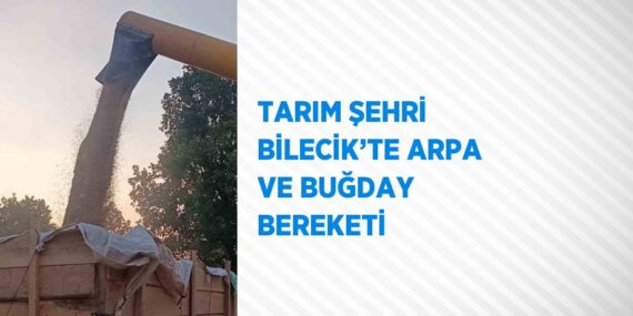 TARIM ŞEHRİ BİLECİK’TE ARPA VE BUĞDAY BEREKETİ