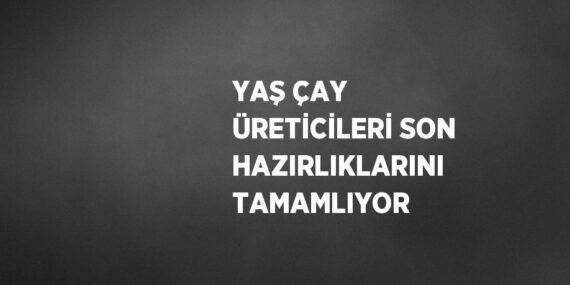 YAŞ ÇAY ÜRETİCİLERİ SON HAZIRLIKLARINI TAMAMLIYOR