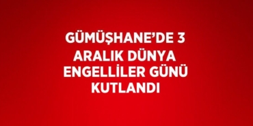 30681242532817421246tasarimli