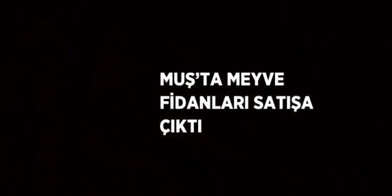 MUŞ’TA MEYVE FİDANLARI SATIŞA ÇIKTI