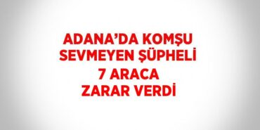 30696238512066924001tasarimli