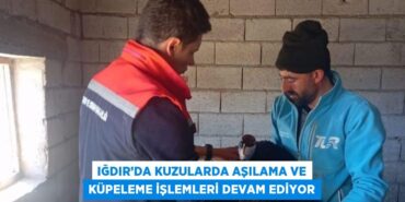 30699231662582831263tasarimli