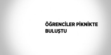 30700217422655424153