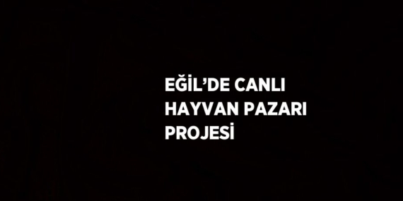 EĞİL’DE CANLI HAYVAN PAZARI PROJESİ