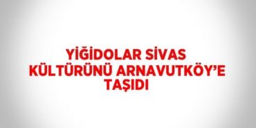 30701288022000727538tasarimli