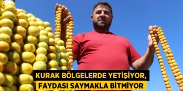 30703265072460624292tasarimli