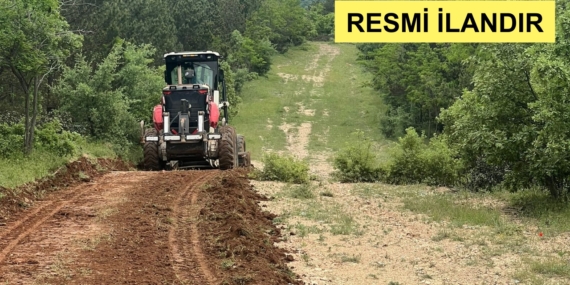 2024 YILI BİGADİÇ ORMAN İŞLETME MÜDÜRLÜĞÜNE BAĞLI İŞLETME ŞEFLİKLERİNDE YANGIN EMNİYET YOLU TAMİR BAKIM HİZMET ALIMI