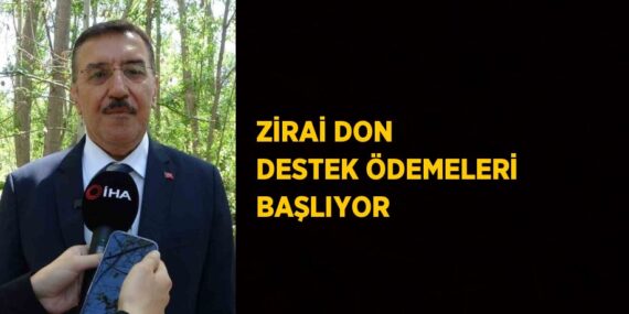 ZİRAİ DON DESTEK ÖDEMELERİ BAŞLIYOR