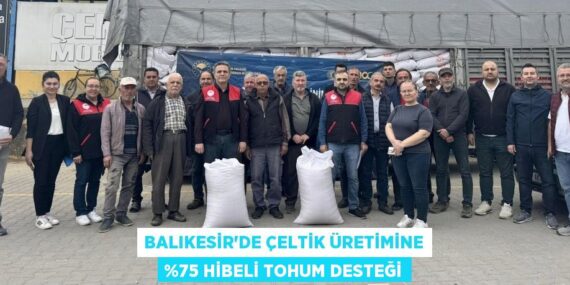 BALIKESİR’DE ÇELTİK ÜRETİMİNE %75 HİBELİ TOHUM DESTEĞİ