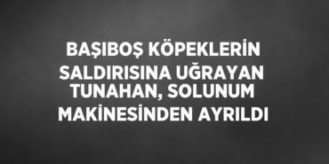 30718262622772123351tasarimli