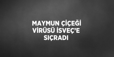 30725282362115729731tasarimli