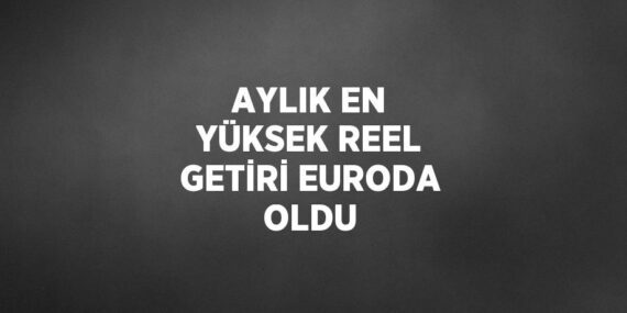 AYLIK EN YÜKSEK REEL GETİRİ EURODA OLDU