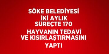 30735304702398327468tasarimli