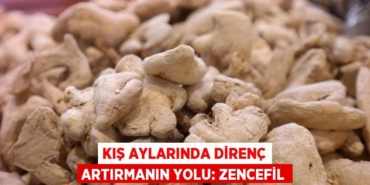 30736313922279829720tasarimli