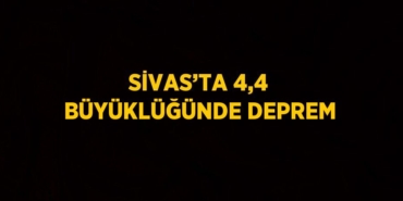 30739225392314423078tasarimli
